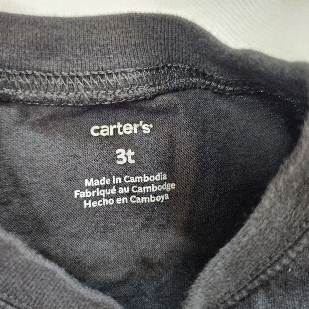 Set Of Two Carter's Long-Sleeve Dinosaur Tees- 3T